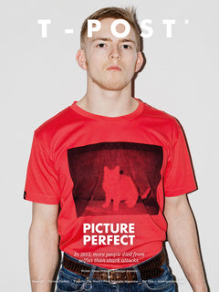 Picture - Perfect