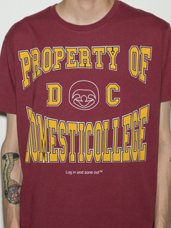 Domesticollege