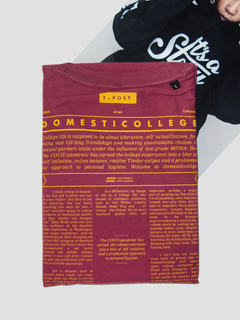 Domesticollege